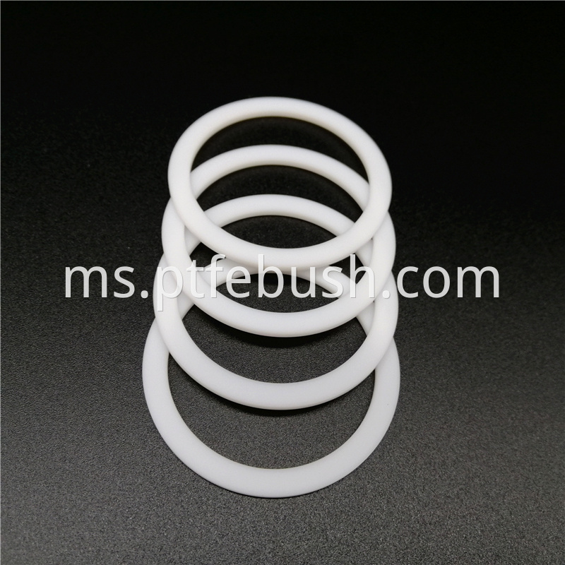 Back Up Seal Ring